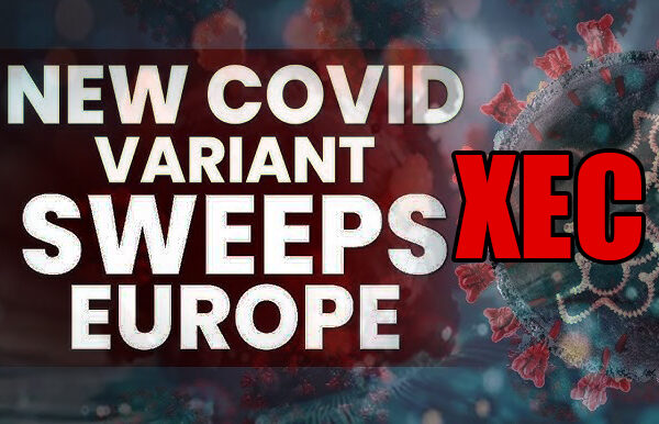 new XEC Covid variant